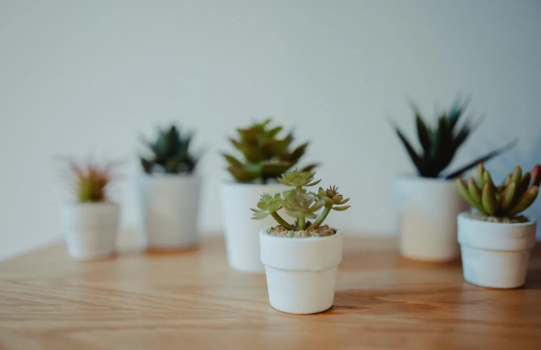 Bufalini Boutique Apartment-1